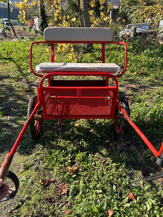 Charrete com travão de disco