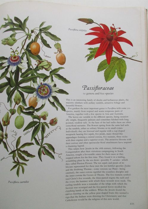 Flowers of the World - - - - - Encyclopedia