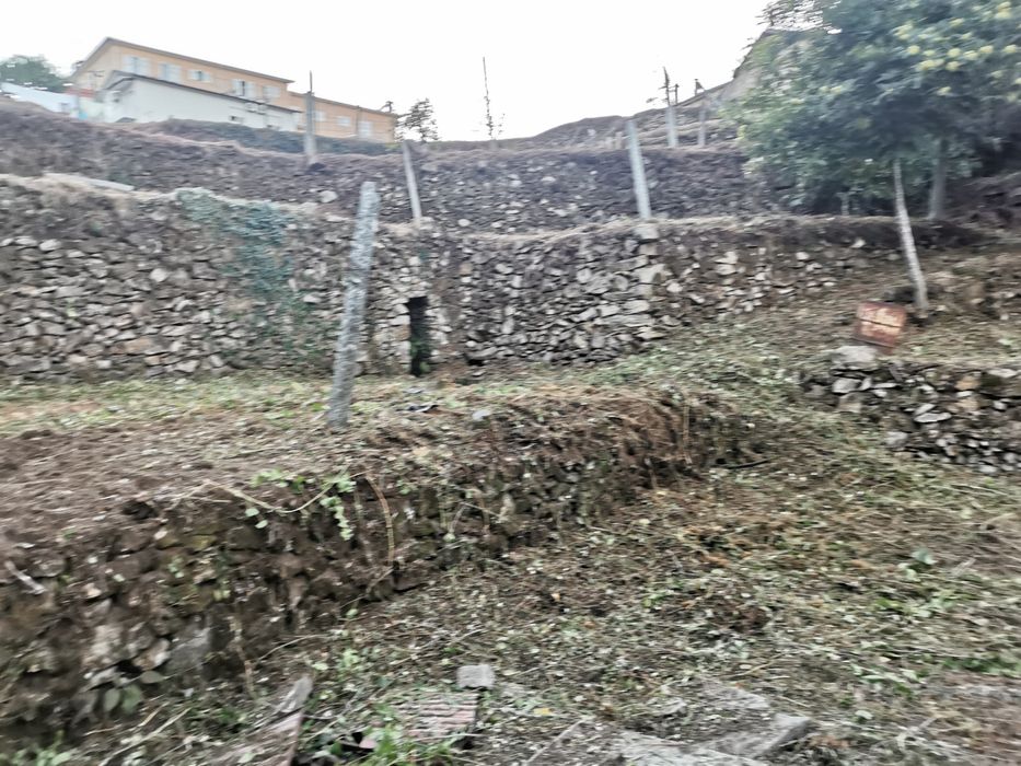 Terreno Quinta Vale Cambra Costa Anelha 0,5HA