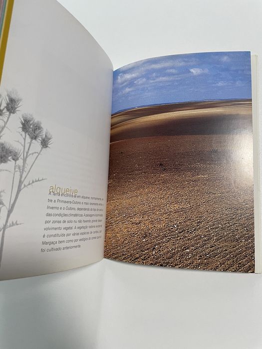 Livro Aves do Parque Natural do Vale do Guadiana