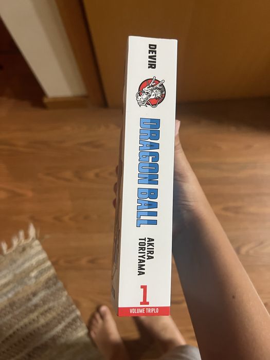 Manga dragan ball 1
