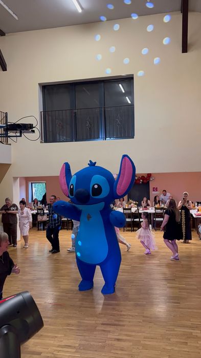 Biały miś/ Fotobudka 360/ Panda/ Stitch