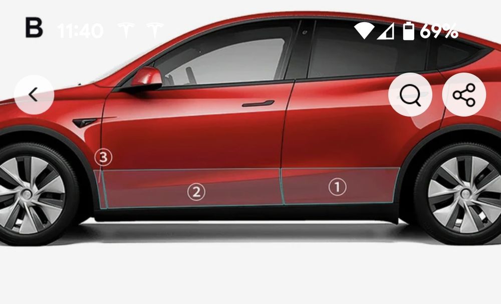 Захисна модельна плівка Тесла Y