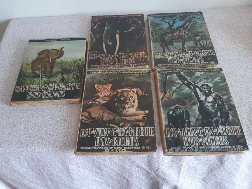 Livros diversos p diversos leitores