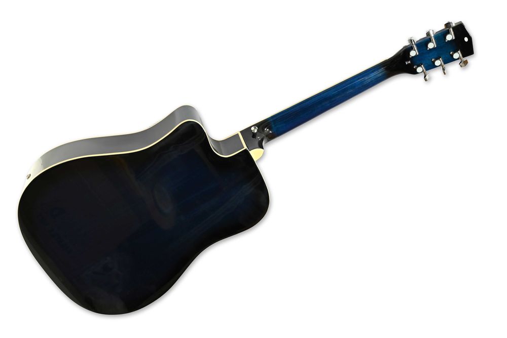 Gitara elektroakustyczna Harleya z pokrowcem