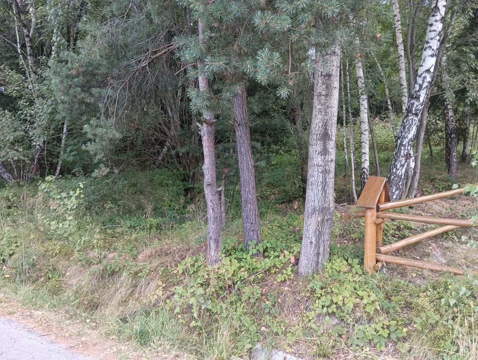 Przepiękna działka widokowa przy lesie 42 ar - Chyszówki - Widok 5