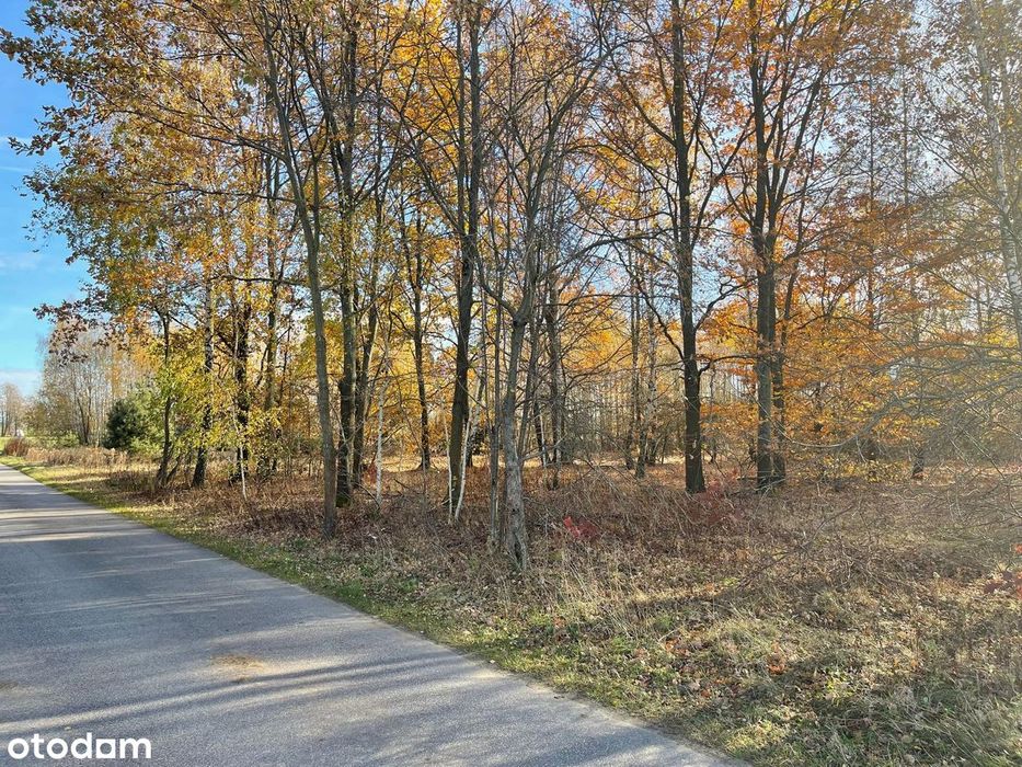 Budowlane-WZ. Różne wielkości. gm Borowie, pow Garwoliński na gr z Miń