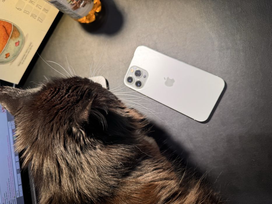 iPhone 13 Pro Max 256 Гб