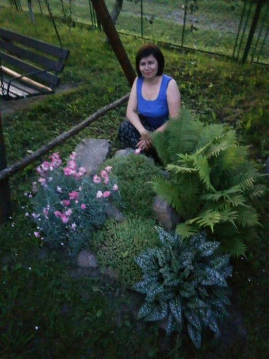 Гейхера півонії м'ята лимонна меліса  рудбекія енотера хости  медунка юка берисклет