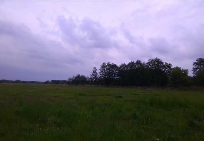 Zdjęcie 3