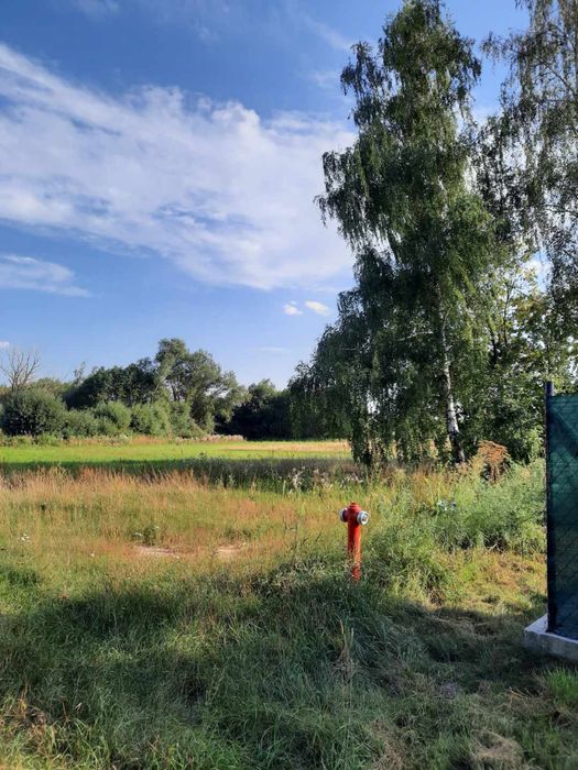 działka budowlana– 1836 m² – Bruliny, gm. Świercze - Widok 4