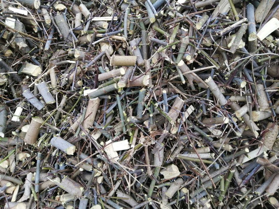 Rebak rebakowanie rozdrabnianie galezi na kawałki i na drobno