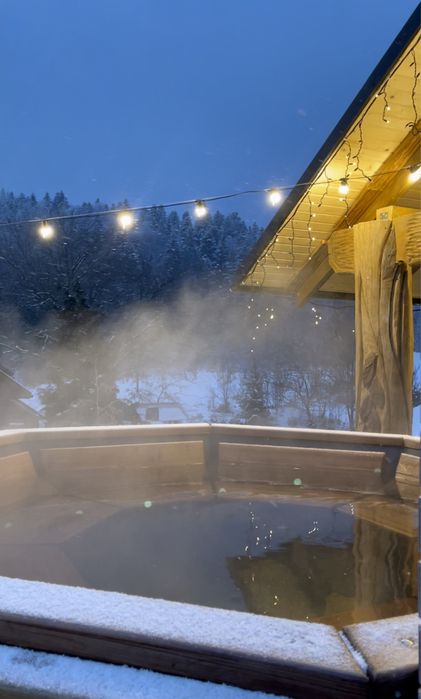 Здається котедж з басейном в Мигово ( баня ,чан )