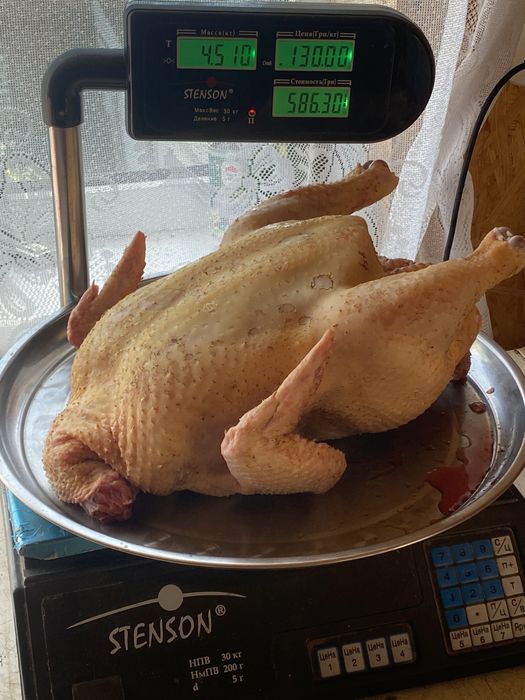 Домашні тушки бройлера