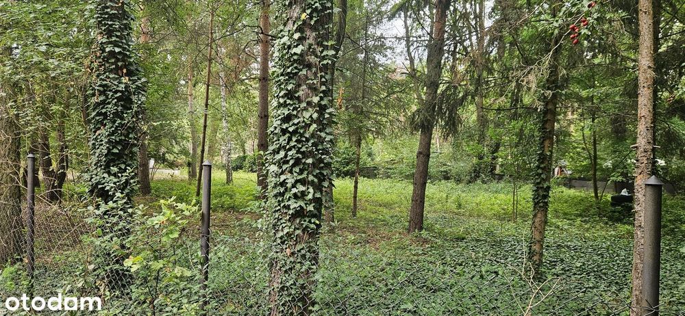 Bezpośrednio działka budowlana Milanówek/ Podkowa Leśna - Widok 4