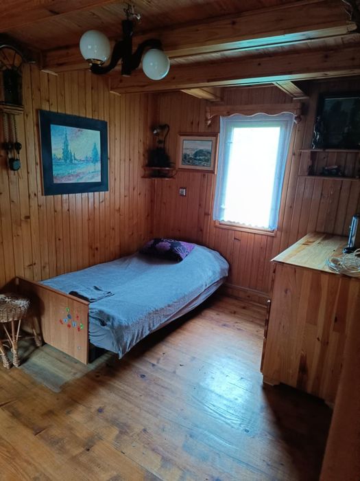 Rekreacja, noclegi, domek letniskowy, leśne zacisze, nad stawem.