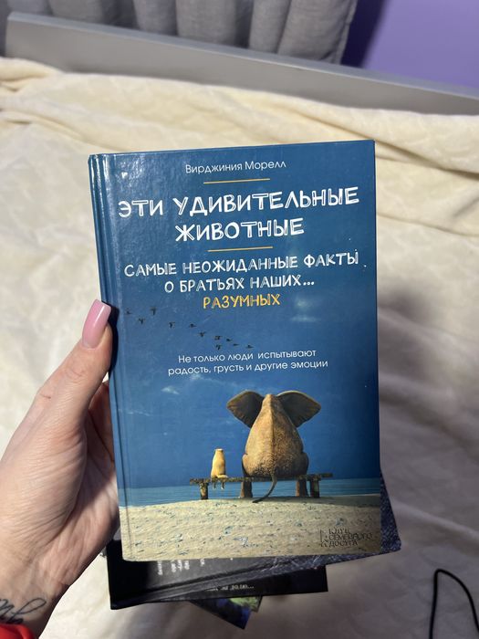 Книги книги книги