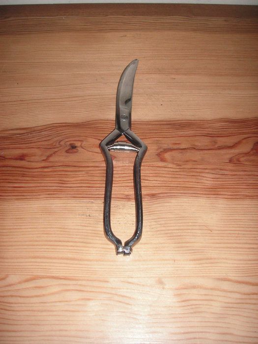 Jarro Água Sumo Vidro, Galheteiro Vidro / Madeira e Tesoura Inox Aves