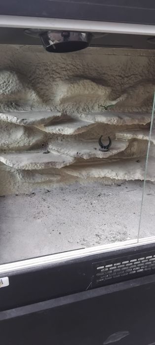 Terrarium na jaszczurke