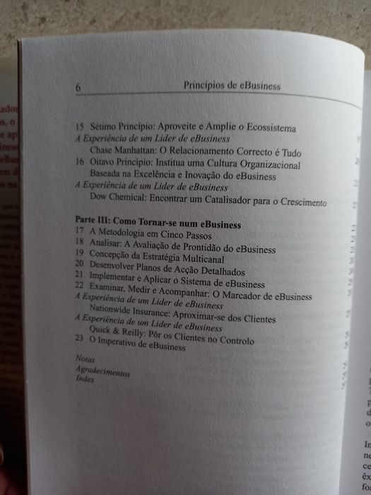 Princípios de e Business, Thomas M. Siebel