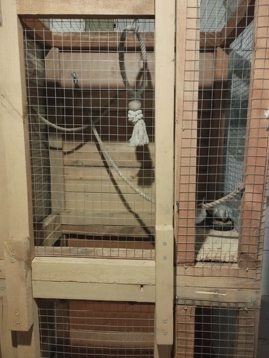 Sprzedam dużą klatkę dla gryzoni lub ptaków