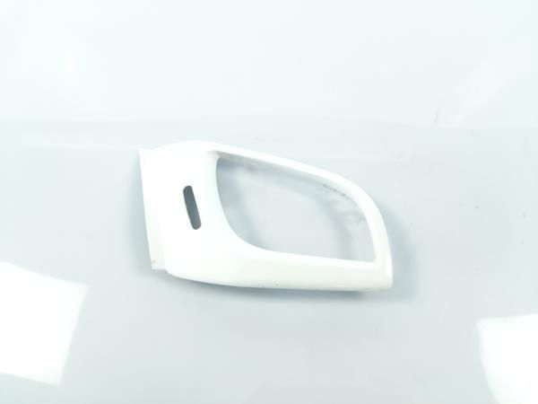 Friso / Frisos CITROËN C3 II (SC_)