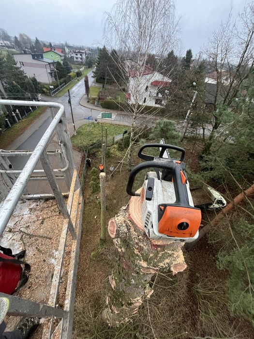 Wycinka drzew, Pielęgnacja drzew i ogrodów, Usługi rębakiem