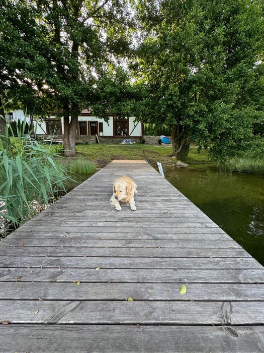Domek, Mazury, Majówka, linia brzegowa, Sauna, bania