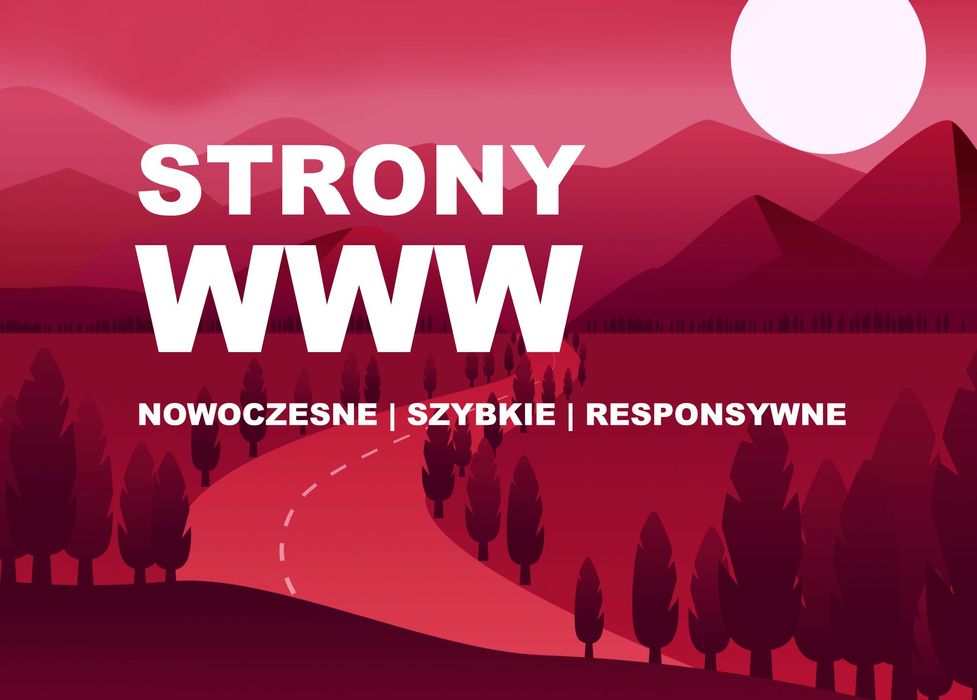 Strony WWW | Projektowanie stron internetowych | Sklepy internetowe