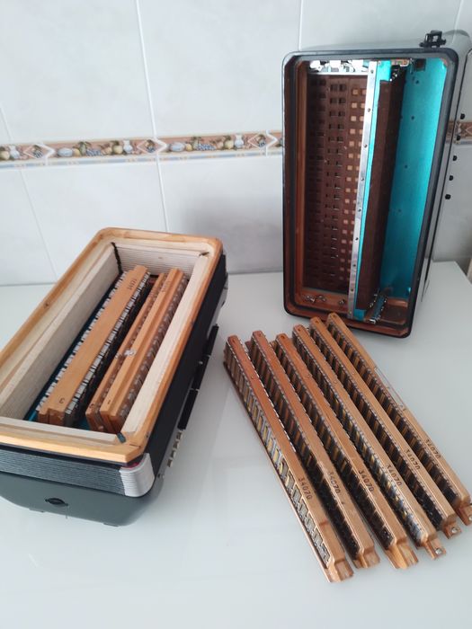 Acordeon/Acordeão   Vedette 10  3+3 nos bxs