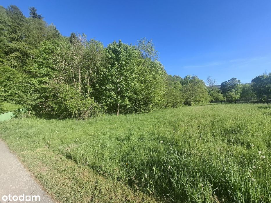 Działka nad rzeką w Krzyżowej