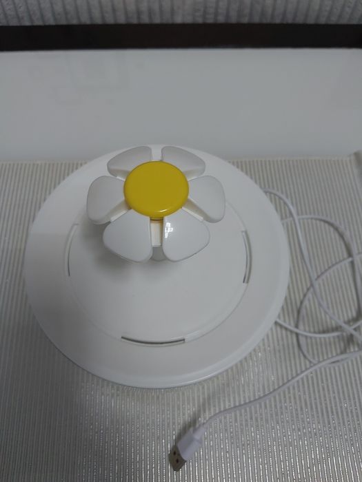 Poidełko  dla małego kota.