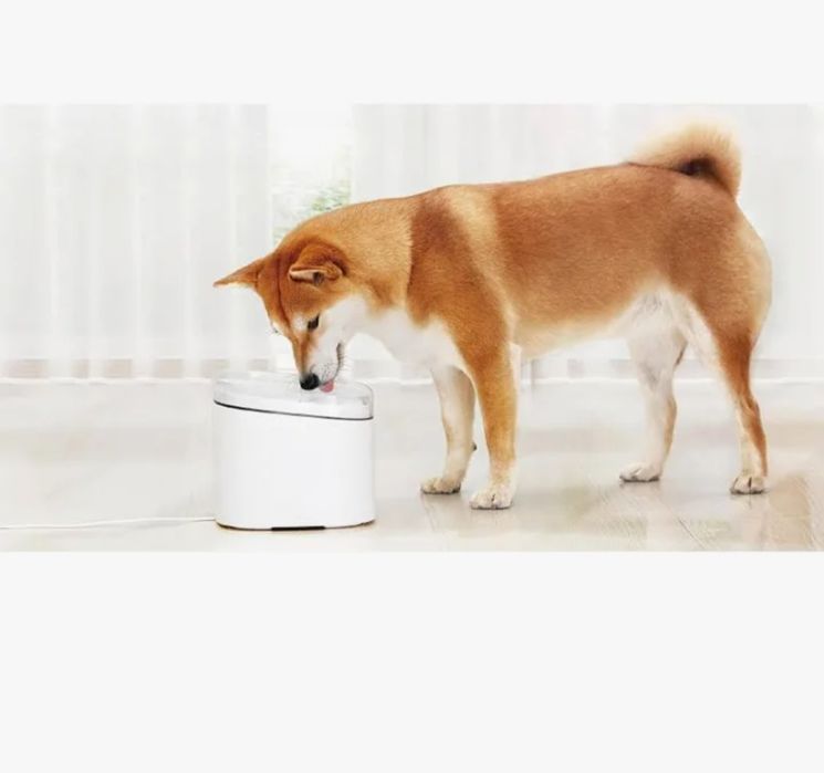 Xiaomi Smart Pet Fountain – Fonte de Água Inteligente 2L