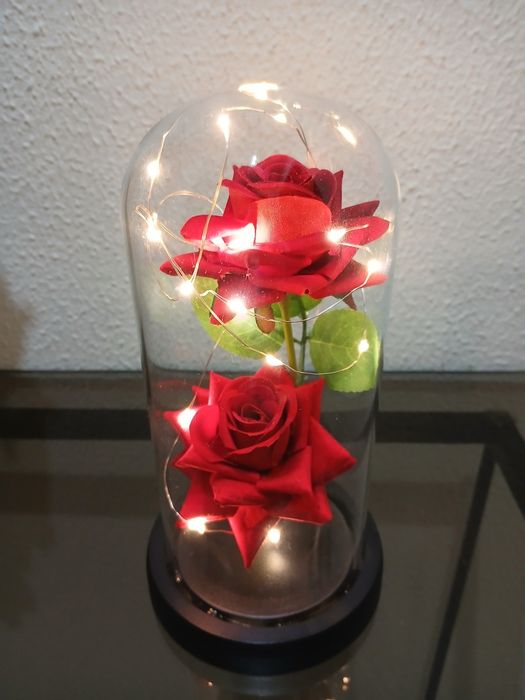 Redoma de Vidro Com Led