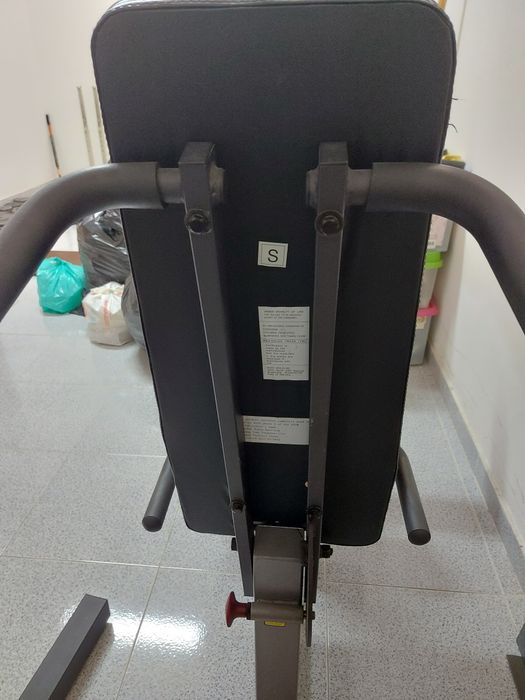 Cadeira de extensão e flexão