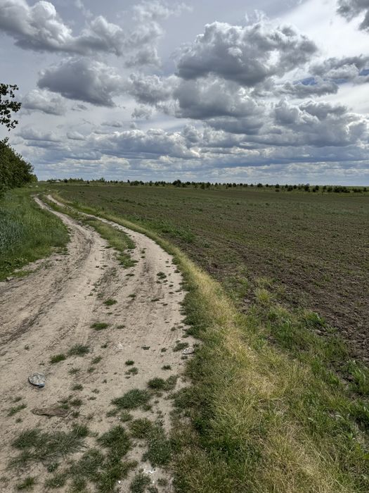 Продаж землі 50 сот комерційного призначення