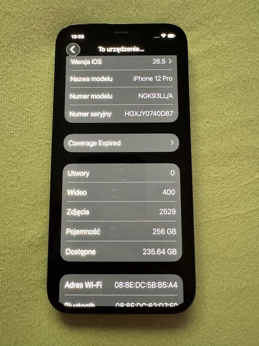 iPhone 12 Pro 256GB Pacific Blue - IDEALNY stan, zero rys, bateria 81%