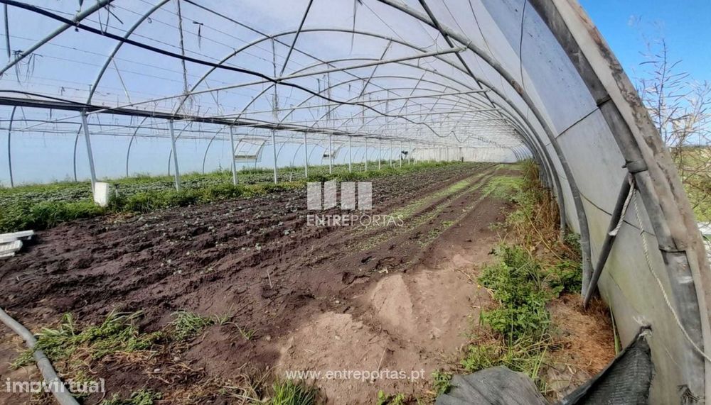 Venda de Terreno agrícola em Navais, Póvoa de Varzim — Aguçadoura E Navais, Porto