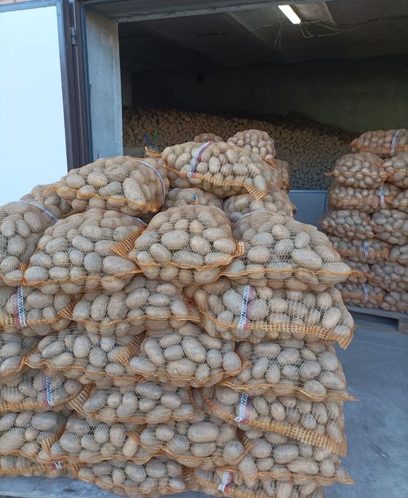 Sprzedam ziemniaki jadalne SORAYA i ANNA QUEEN worki 15kg