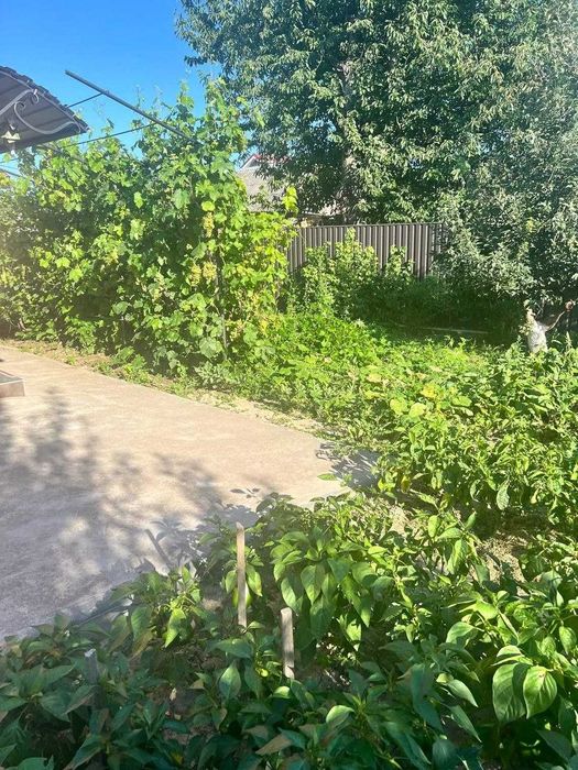 Продам 3 кім будинок, Старе Місто!!!