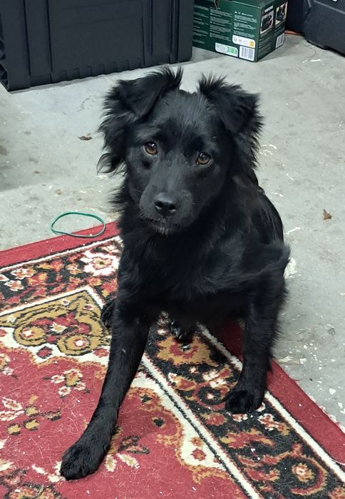 Xena szuka kochającego domku