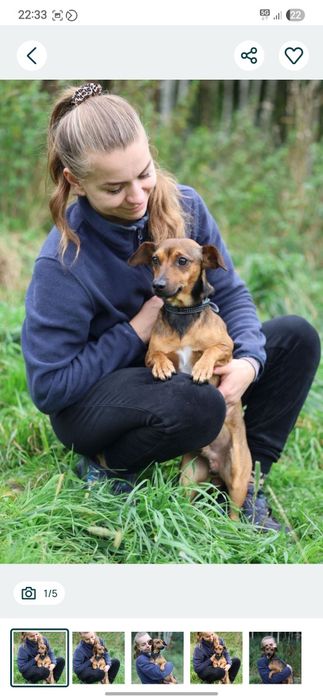 5kg samiec do adopcji