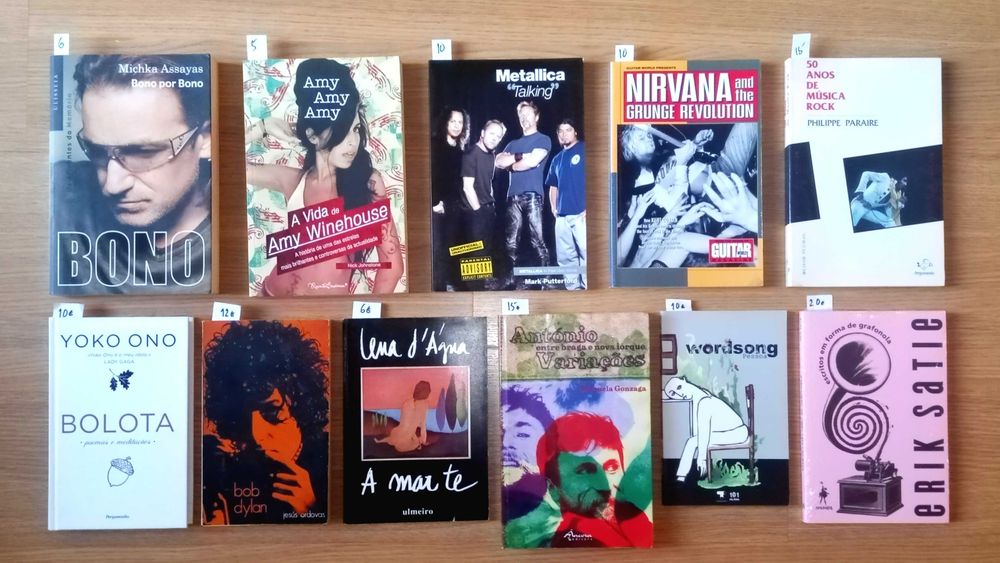 Vários livros (música, arte, literatura, técnicos, etc)