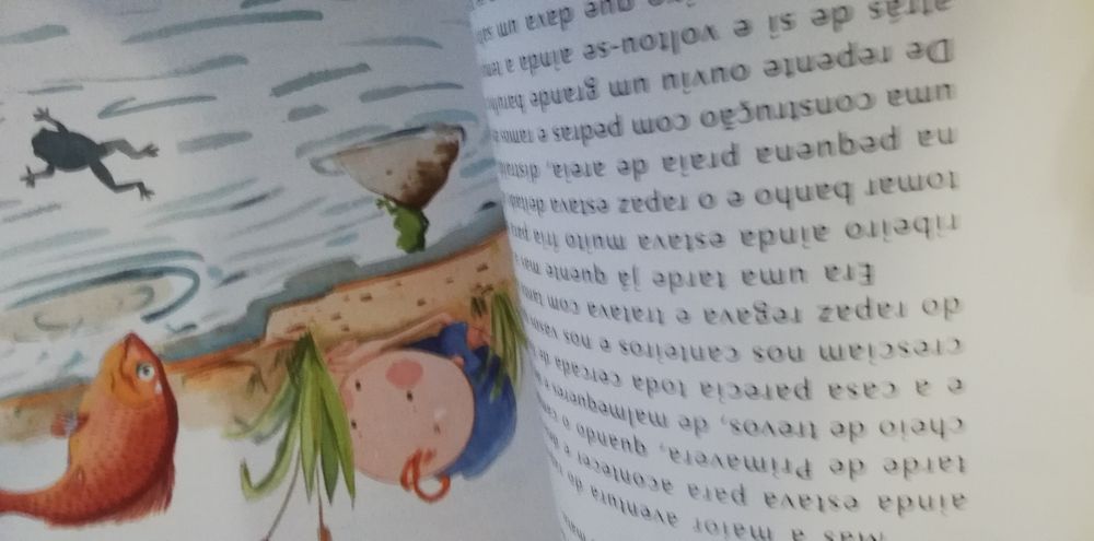 Livro "o segredo do rio"