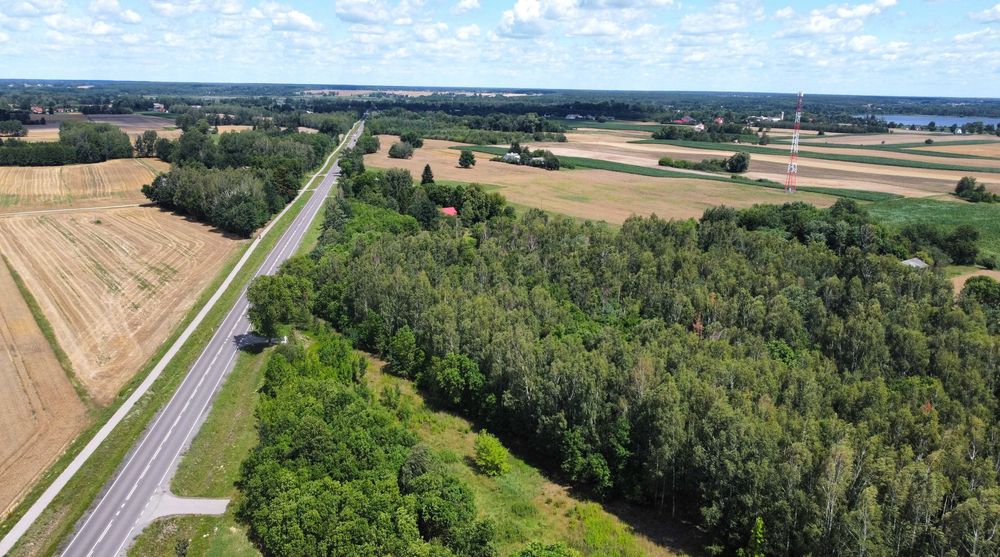 Siemień Kol., gm. Siemień – działka rolna, leśna - Widok 3