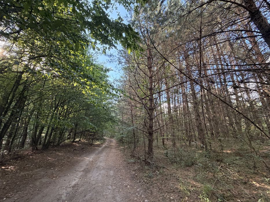 Ділянка біля лісу 2 га Ясниська