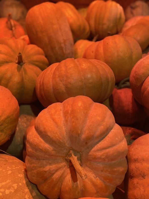 Продам кашний гарбуз