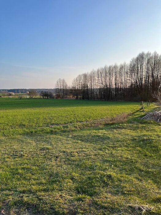 Działka  Pszczew 3000m2