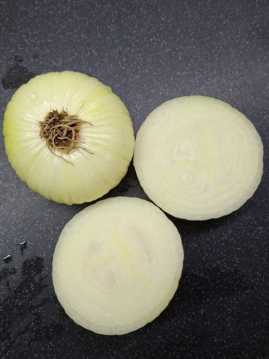 Cebula obrana biała