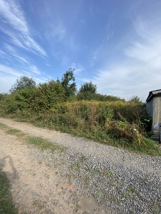 Зрізання дерев будь якої складності